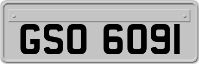 GSO6091
