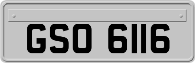 GSO6116