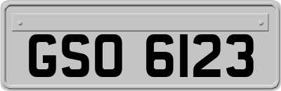 GSO6123