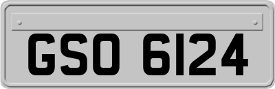 GSO6124