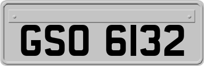 GSO6132