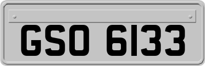 GSO6133