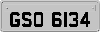 GSO6134