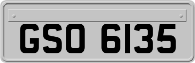 GSO6135