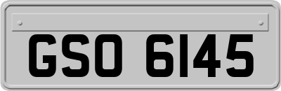 GSO6145