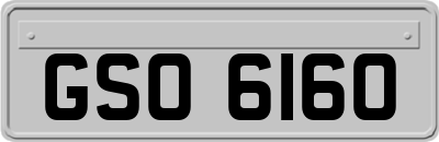 GSO6160