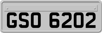 GSO6202