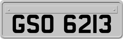 GSO6213