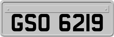 GSO6219
