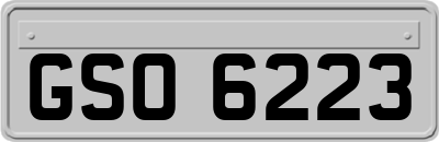 GSO6223