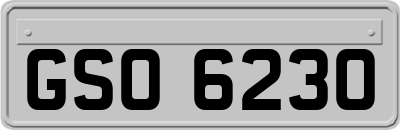 GSO6230