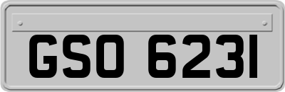GSO6231