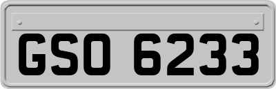 GSO6233