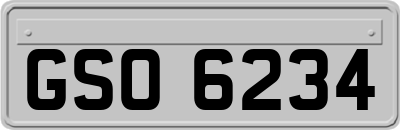 GSO6234