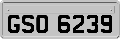 GSO6239