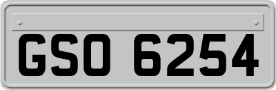 GSO6254