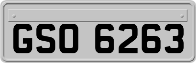 GSO6263
