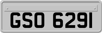 GSO6291