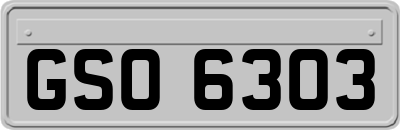 GSO6303