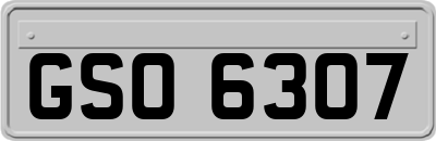 GSO6307