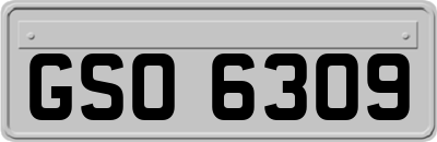 GSO6309