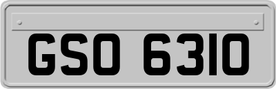 GSO6310