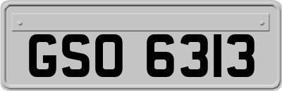 GSO6313