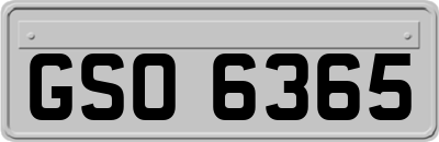 GSO6365