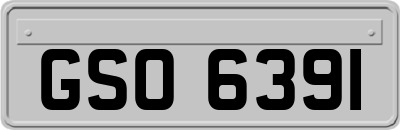 GSO6391
