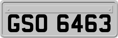 GSO6463