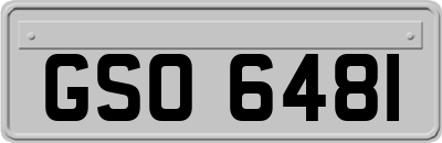 GSO6481