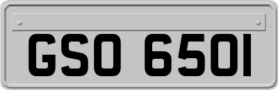 GSO6501