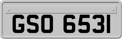 GSO6531