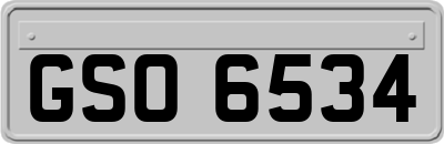 GSO6534