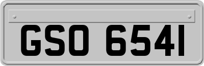 GSO6541