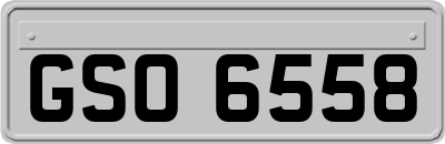GSO6558