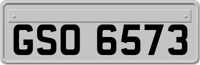 GSO6573