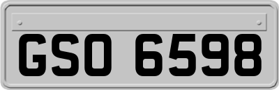 GSO6598