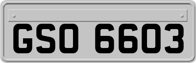 GSO6603