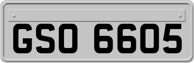 GSO6605