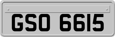 GSO6615