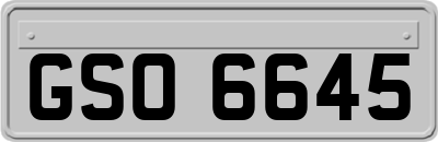 GSO6645