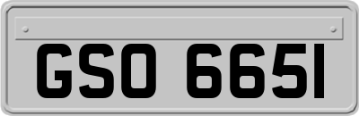 GSO6651