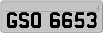 GSO6653