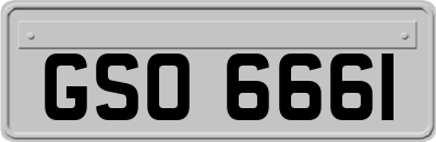 GSO6661