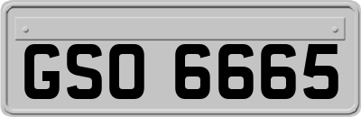 GSO6665