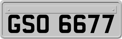 GSO6677