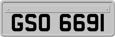 GSO6691