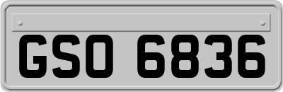 GSO6836
