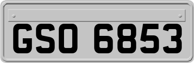 GSO6853